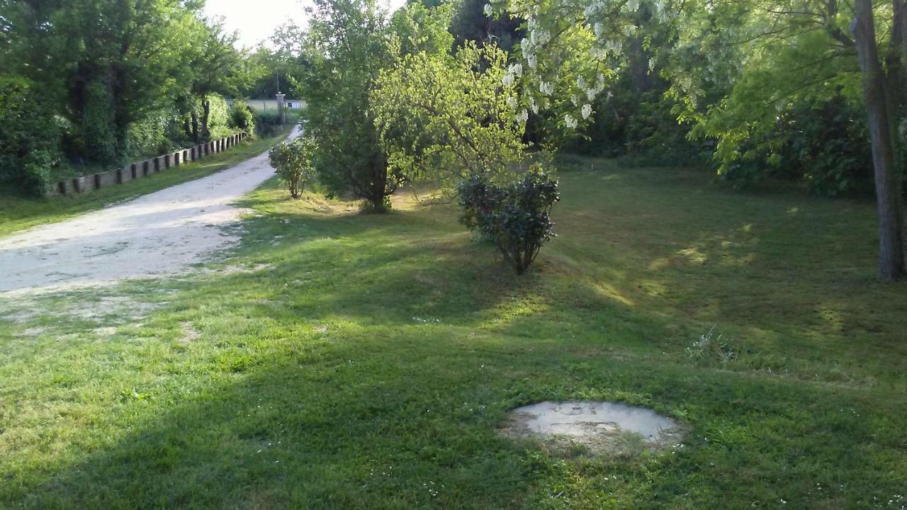 Bed And Breakfast Sile E Natura Сант-Элена-ди-Силея Экстерьер фото